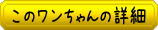 41232の詳細