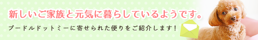 新しい家族と元気に暮らしてるようです