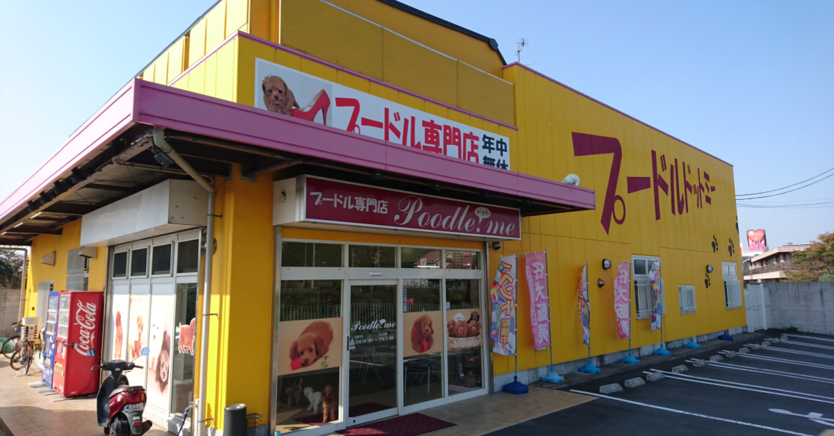 堺市のペットショップ プードルドットミーの外観写真