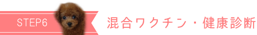 混合ワクチン・健康診断