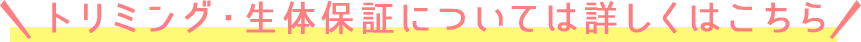 トリミングや保証