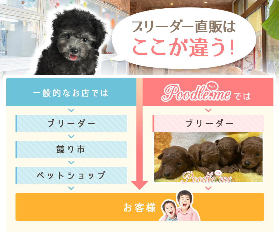 ペット流通の違い