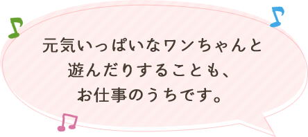 子犬と遊ぶのも仕事です