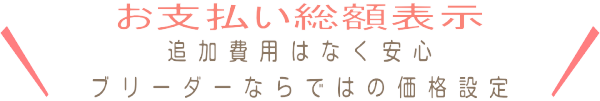 安いトイプードル達